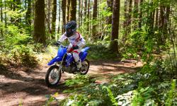 Yamaha Zlín TT-R110