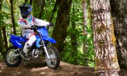 Yamaha Zlín TT-R110